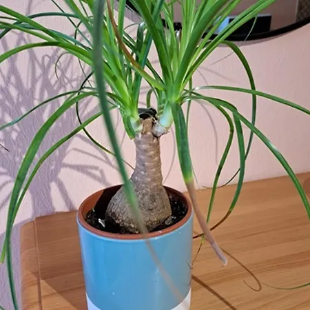 Daire A Jean De Monts Avec Balcon Et Wifi - Fr-1-323-508 Saint-Jean-de-Monts